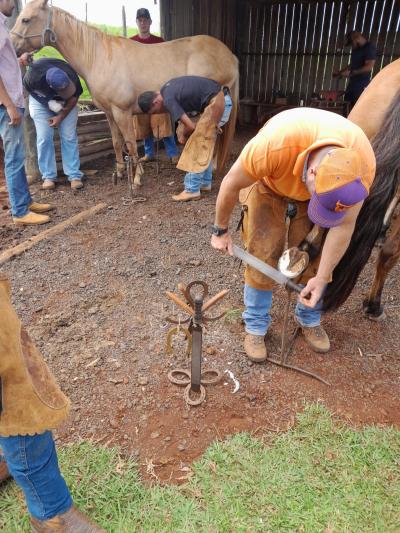 Curso de casqueamento em cavalos Ã© realizado em Nova Laranjeiras